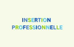 Insertion professionnelle